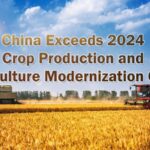 # - My News! China Exceeds 2024 Crop Production and Agriculture Modernization Goals Video Poster