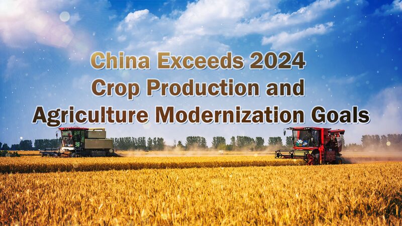China Exceeds 2024 Crop Production and Agriculture Modernization Goals Video Poster 