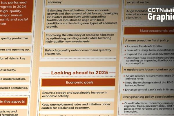 China holds Central Economic Work Conference to plan for 2025