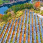 China Offers Best Case study for Apec Sustainable Finance Proposal 