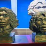 China Restores Appearance of Million year old yunxian Man Fossil 