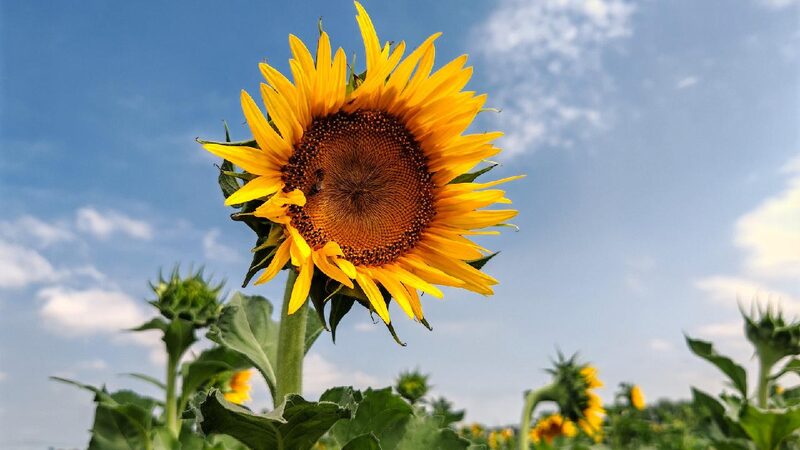 China Sees Warmest Autumn on Record 