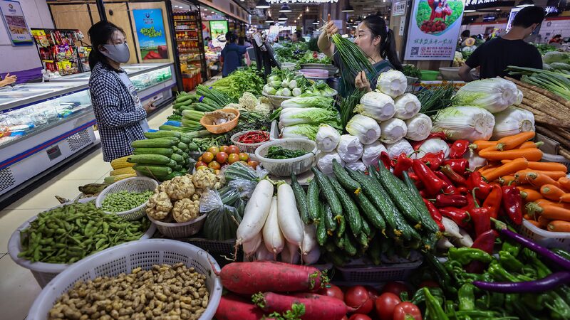 Chinas Nov Cpi Up Ppi Decline Narrows in November 