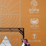 Chinas Desertification Victory Offers a Roadmap for Sustainability 