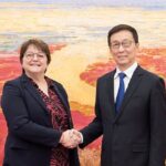Chinese Vp Meets French Delegation to Bilateral High level Dialogue 