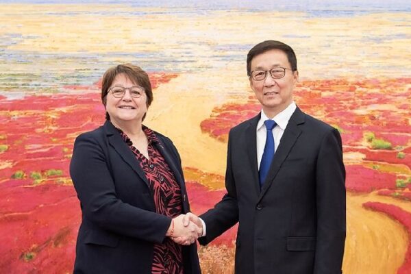 Chinese VP meets French delegation to bilateral high-level dialogue