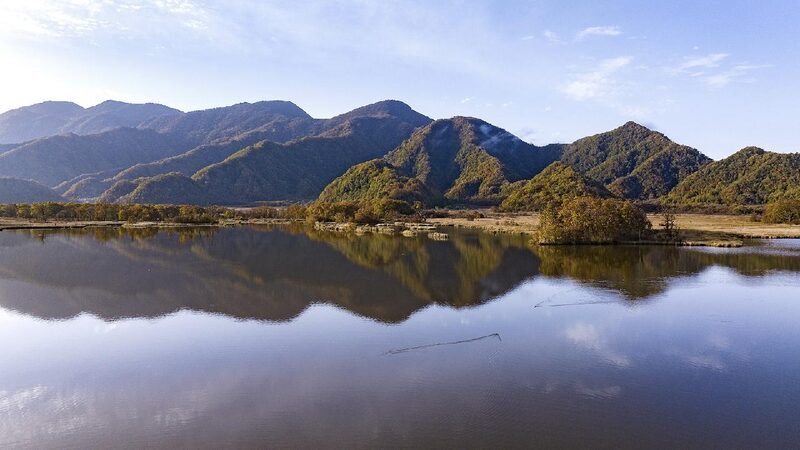 Chinese Energy Firms Call for More Biodiversity Conservation Efforts 