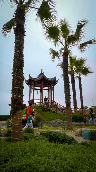 # - My News! Chinese Parks in Peru Video Poster