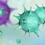 Chinese Researchers Discover New Pattern in Virus Transmission 