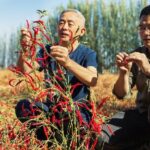 Chinese Scientist Wins 2024 Uneps Champions of the Earth Award 