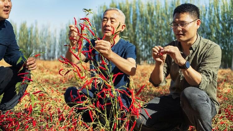 Chinese Scientist Wins 2024 Uneps Champions of the Earth Award 