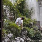 Classical Chinese Gardens Microcosms of the Natural World 