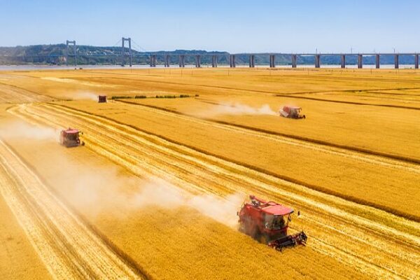 Concerns of the people are always on my mind, says Xi