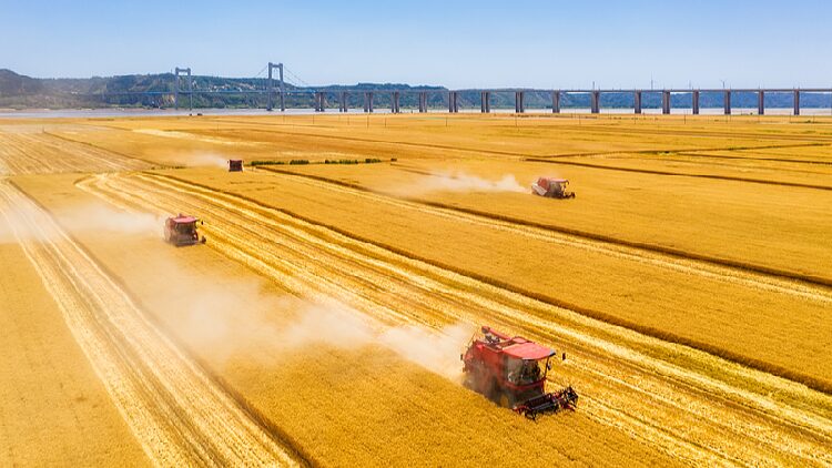 # - My News! Concerns of the People Are Always on My Mind Says Xi