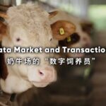Data Market and Transactions Video Poster 