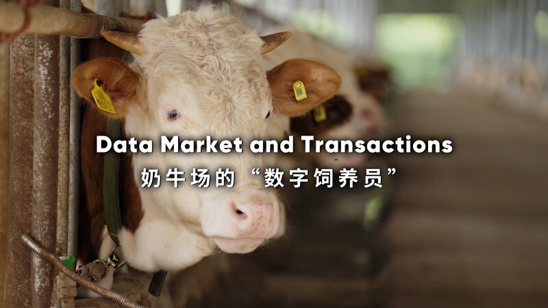 Data Market and Transactions Video Poster 