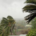 Death Toll from Cyclone Chido in Mozambique Rises to 73 