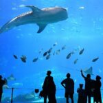 Discover Hengqin a Perfect Extension to Your Macao Trip 