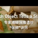 # - My News! Each Object Tells a Story Video Poster