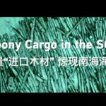 Ebony Cargo in the South China Sea Video Poster 