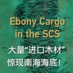 Ebony Cargo in the South China Sea Video Poster 