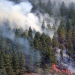Ecuador Declares National Emergency As Wildfires Drought Intensify 
