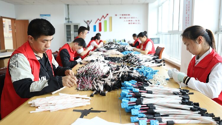 Empowering Lives Chinas Support for People with Disabilities 