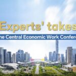 Experts Takes on the Central Economic Work Conference 