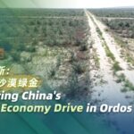 Exploring Chinas Green Economy Drive in Ordos Video Poster 