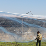 Farmers Brace for Cold Wave Sweeping Across China 