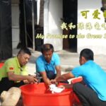 Father Son Protect Sea Turtles in South China Sea Video Poster 