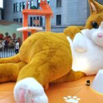Giant cat Grabs the Spotlight in Shanghai 