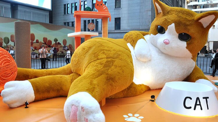 Giant cat Grabs the Spotlight in Shanghai 