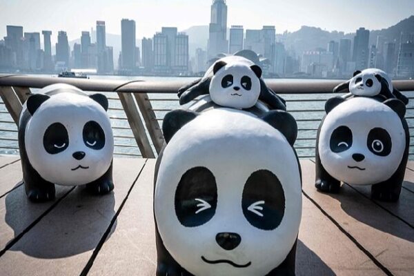 # - My News! Giant Panda Sculptures Draw Crowds As They Tour Hong Kong