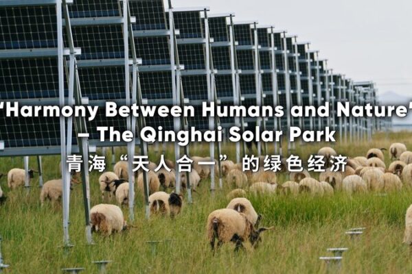 "Harmony Between Humans and Nature" – The Qinghai Solar Park video poster