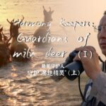 Harmony Keepers Guardians of Milu Deer Video Poster 