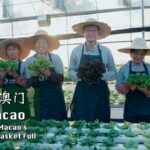 Hi Macao | Keeping Macaos Vegetable Basket Full Video Poster 