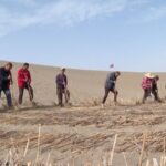 How China Tackles Desertification in Taklimakan Desert Video Poster 