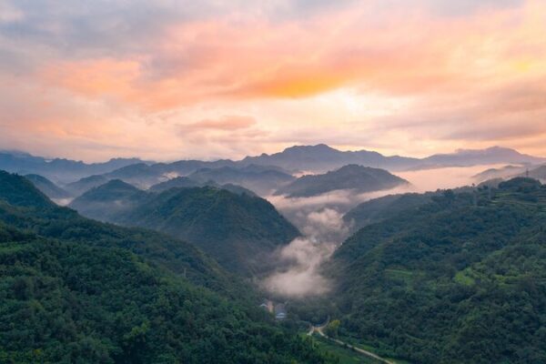 # - My News! Imd 2024 Promoting Sustainable Development in Mountainous Areas Video Poster