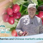 Im from Apec Chilean Cherries and Chinese Markets Unbreakable Bond Video Poster 