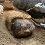 in Pictures 50th Year of Terracotta Warriors Excavation 