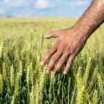 Income of Chinas Rural Residents Soars over the Past Decade 