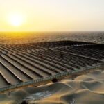 Innovative Approaches to Combating Desertification in Xinjiang 