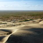 Keeping Deserts at Bay with Their Own Hands 