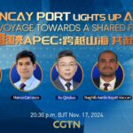 Live Chancay Port Lights Up Apec Video Poster 