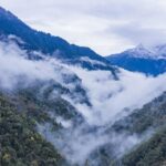 Live Encounter Diverse Species in Gaoligong Mountains in Sw China 