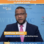 Msmes Play Pivotal Role in Global Trade Wto Video Poster 