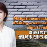 Mitigation and Adaptation Building Urban Resilience to Climate Risks 