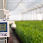 Modernized Agriculture Drives Rural Revitalization in China 