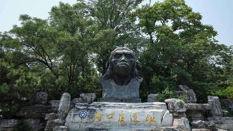 National Archaeological Site Park Being Built in Beijings Zhoukoudian 